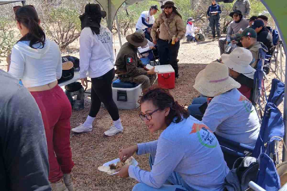 Colectivo Búsqueda personas desparecidas baja california sur