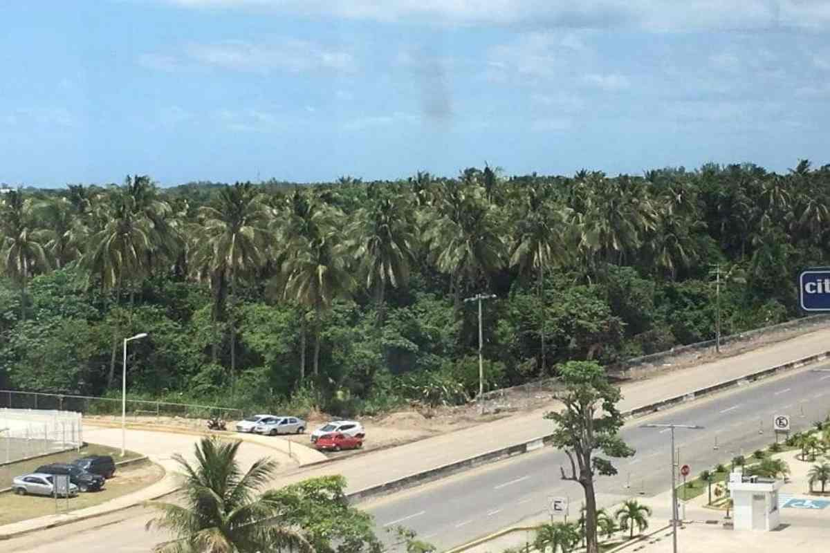Paraíso perdido: en Tabasco el desastre llegó antes del chapopote