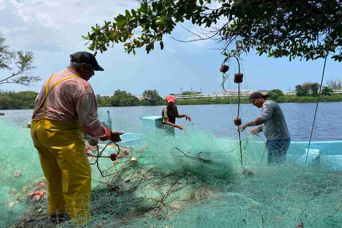Paraíso perdido: en Tabasco el desastre llegó antes del chapopote