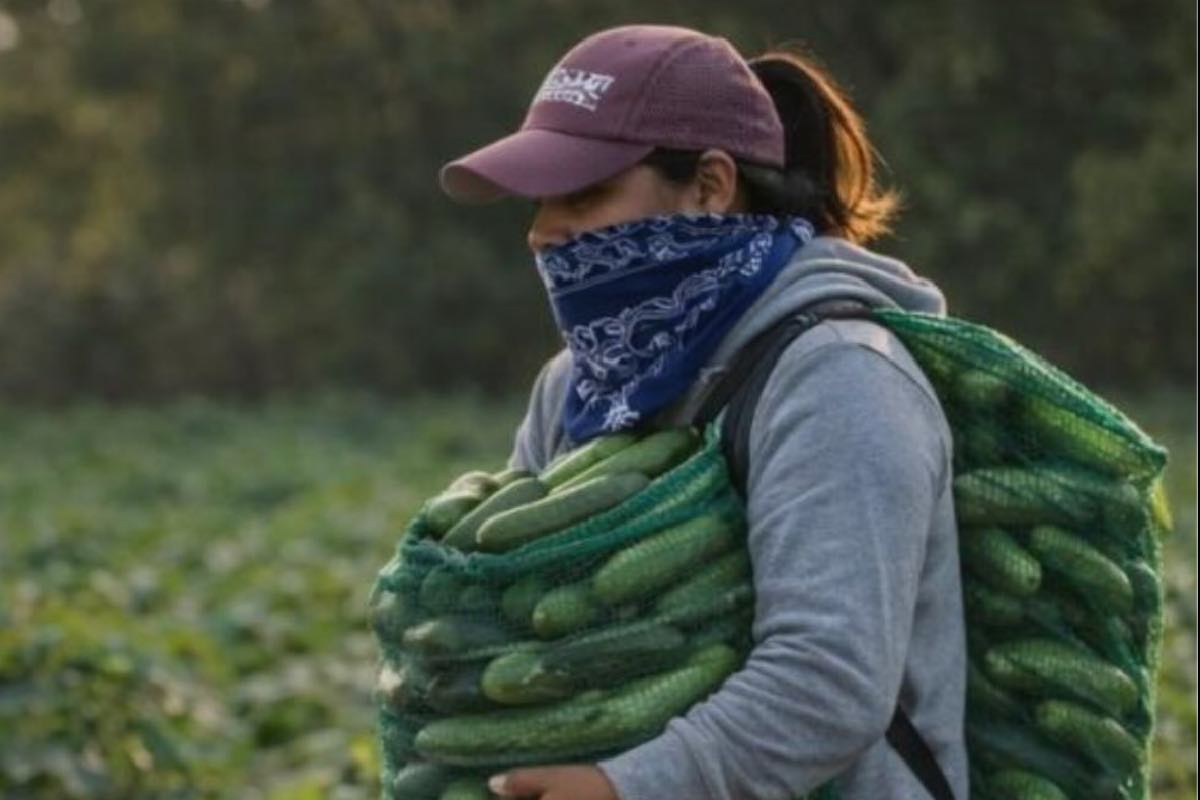 mujeres-jornaleras-sin-seguridad-social-mexico-5