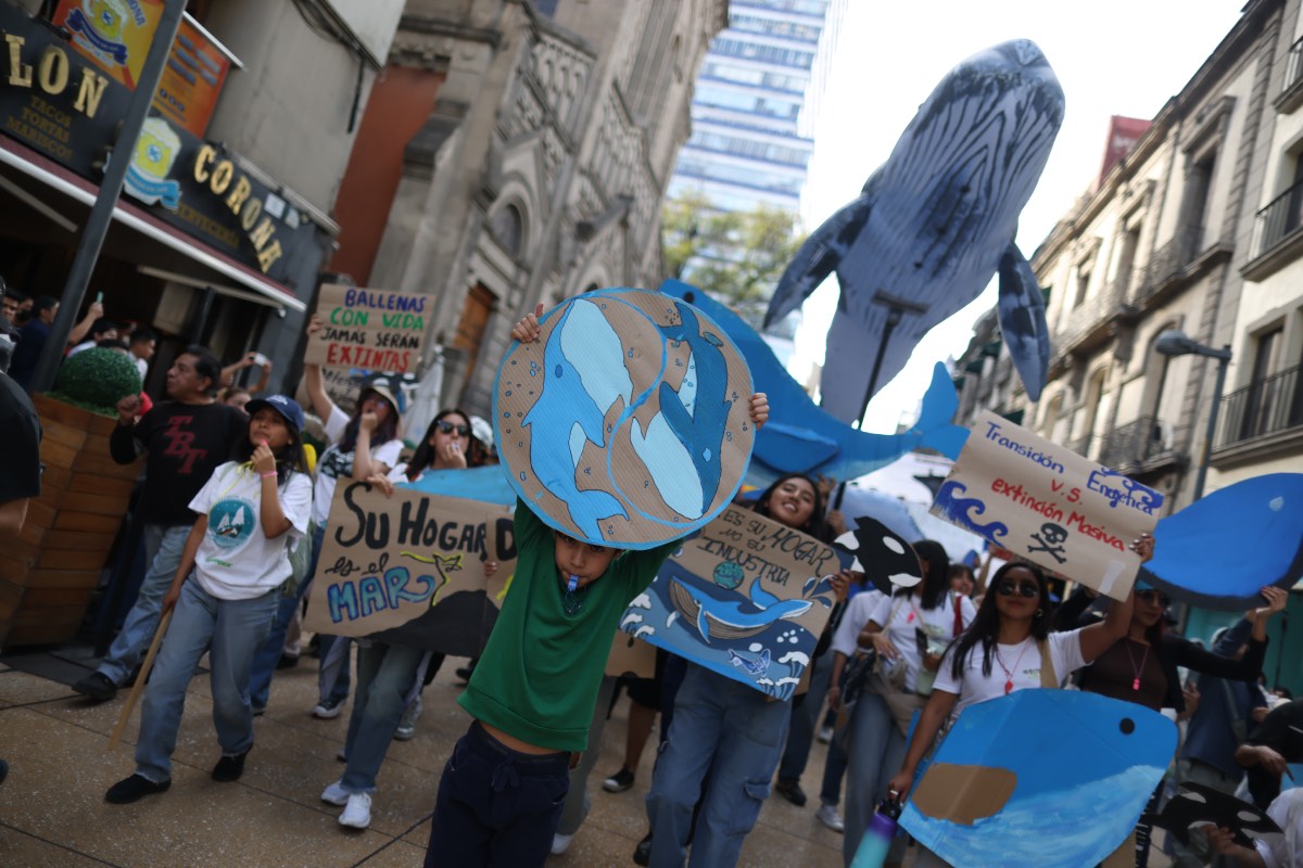 Nuestro Futuro A.C. y Artículo 19 buscan proteger el equilibrio marino