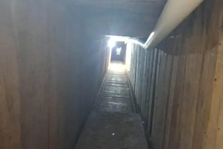 EU presenta cargos contra cuatro ligados al CJNG por tráfico de droga en  túnel entre Tijuana y San Diego, California | Animal Político