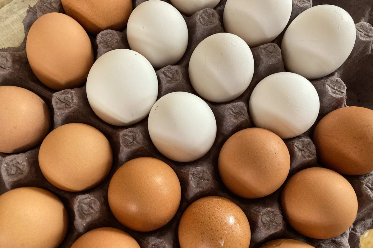 Vista superior de una rejilla de cartón gris con una mezcla de huevos de gallina blancos y marrones.