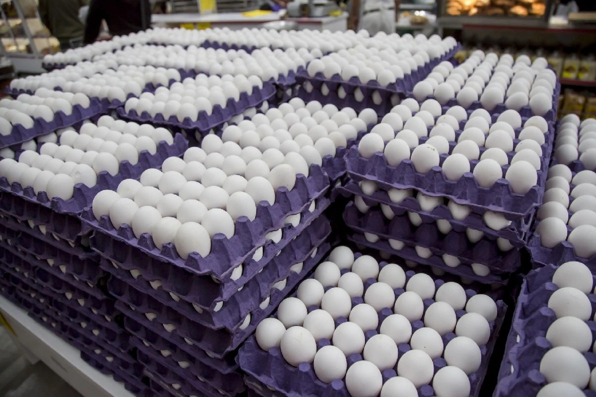 Múltiples tapas y conos de cartón morado apilados con cientos de huevos blancos de gallina en un comercio o supermercado.