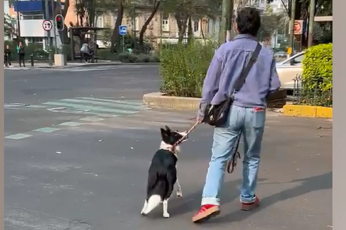 aseo perros parque españa Foto: Israel Fuguemann